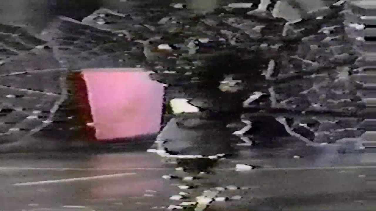 1989 performance: Spiders: A Ritual Of Motion