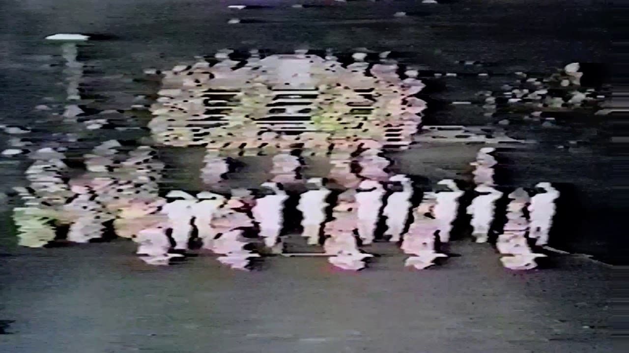 1980 performance: A Night At The Copa